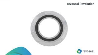 Visualization 3D animation seals - Top view of a flat profile gasket