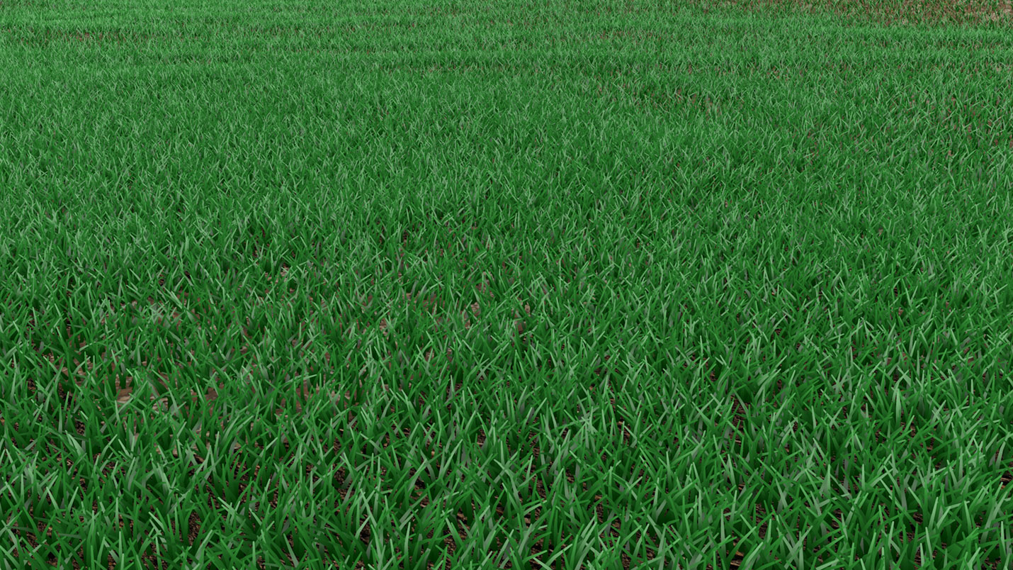 Lush green meadow - also possible in 3D in winter
